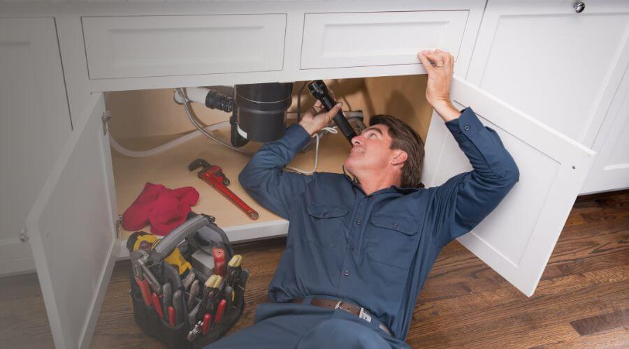 Professional clogged toilet repair in Denio, NV